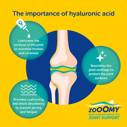 Zooomy Hyaluronic Acid Joint Support for Cats