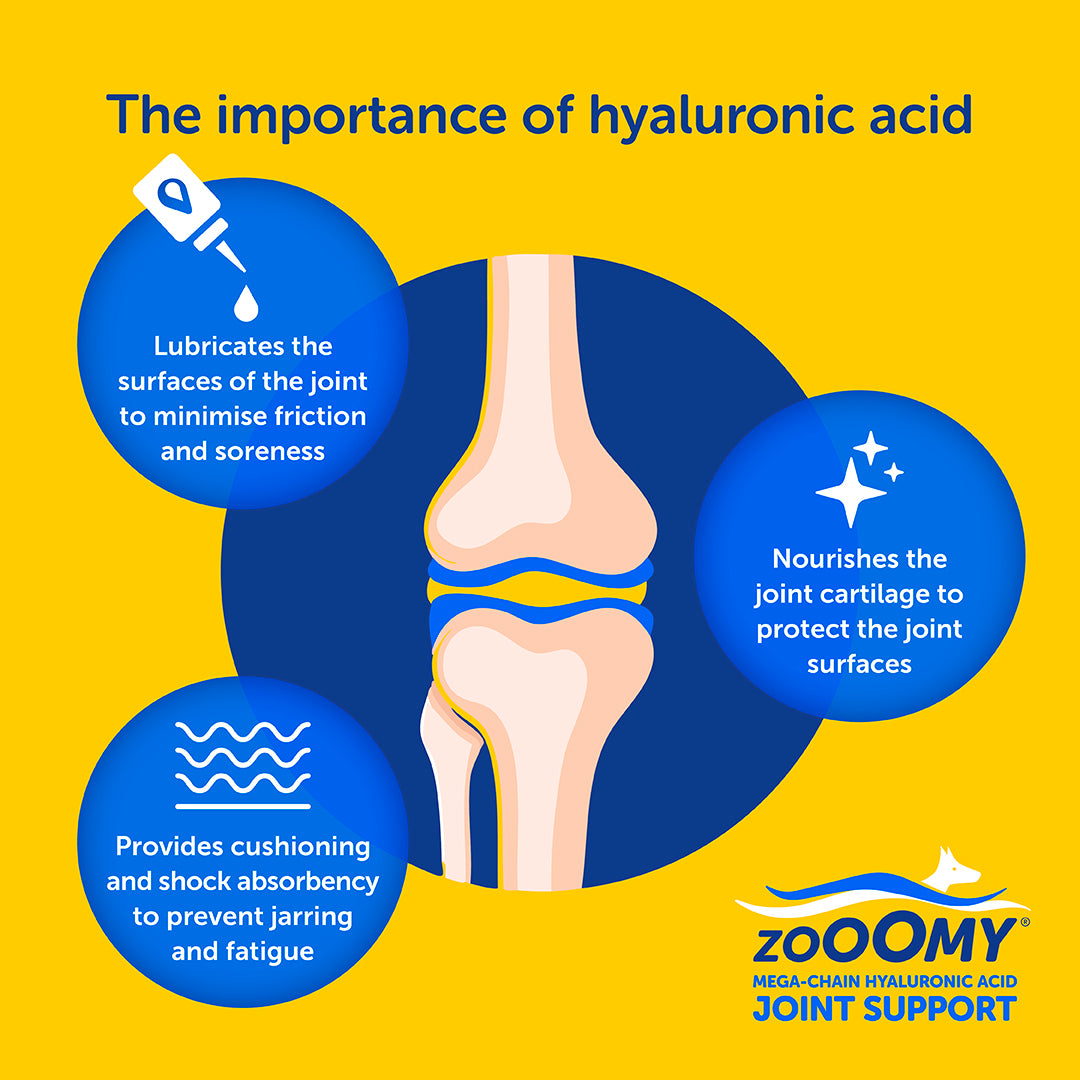 Zooomy Hyaluronic Acid Joint Care for Dogs