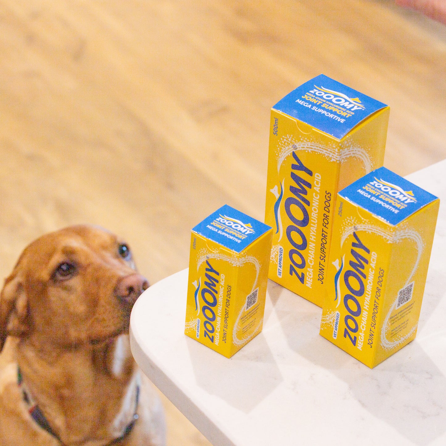 Zooomy Hyaluronic Acid Joint Care for Dogs