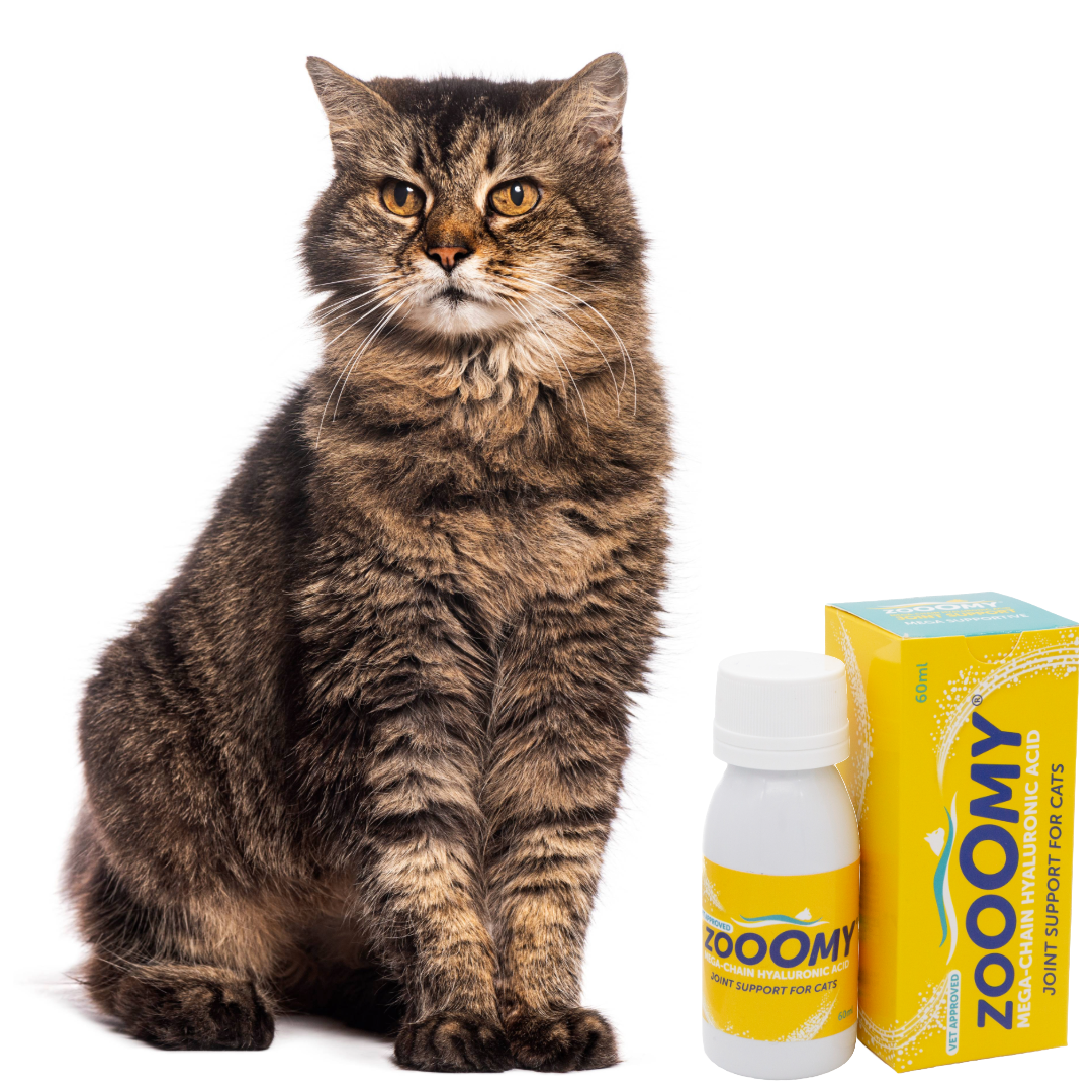 Zooomy Hyaluronic Acid Joint Support for Cats